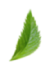 design sem nome 2024 07 10t170917.954 2.png